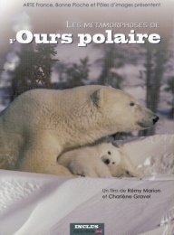 image Les métamorphoses de l'ours polaire