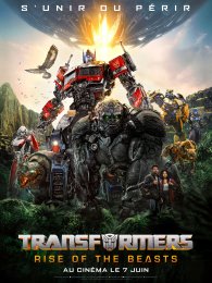 image Transformers : Rise Of The Beasts