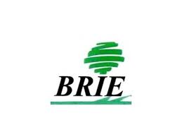 image Brie