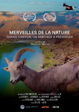 image Merveilles de la nature Grand Canyon