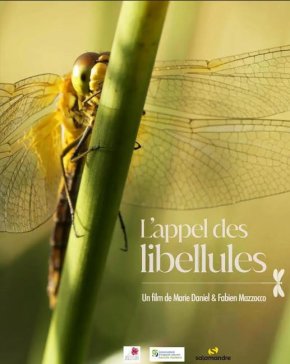 image L'appel des libellules