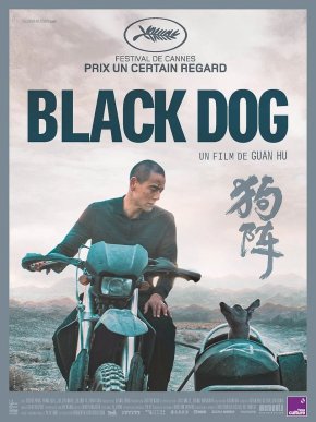 image Black Dog