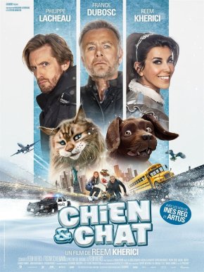 image Chien et Chat