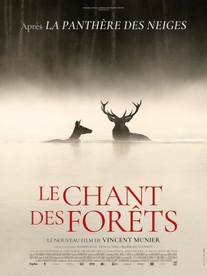 image Le Chant des forêts