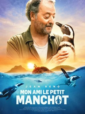 image Mon ami le petit manchot