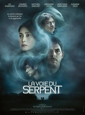 image La Voie du serpent