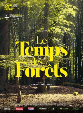 image Le Temps des forêts